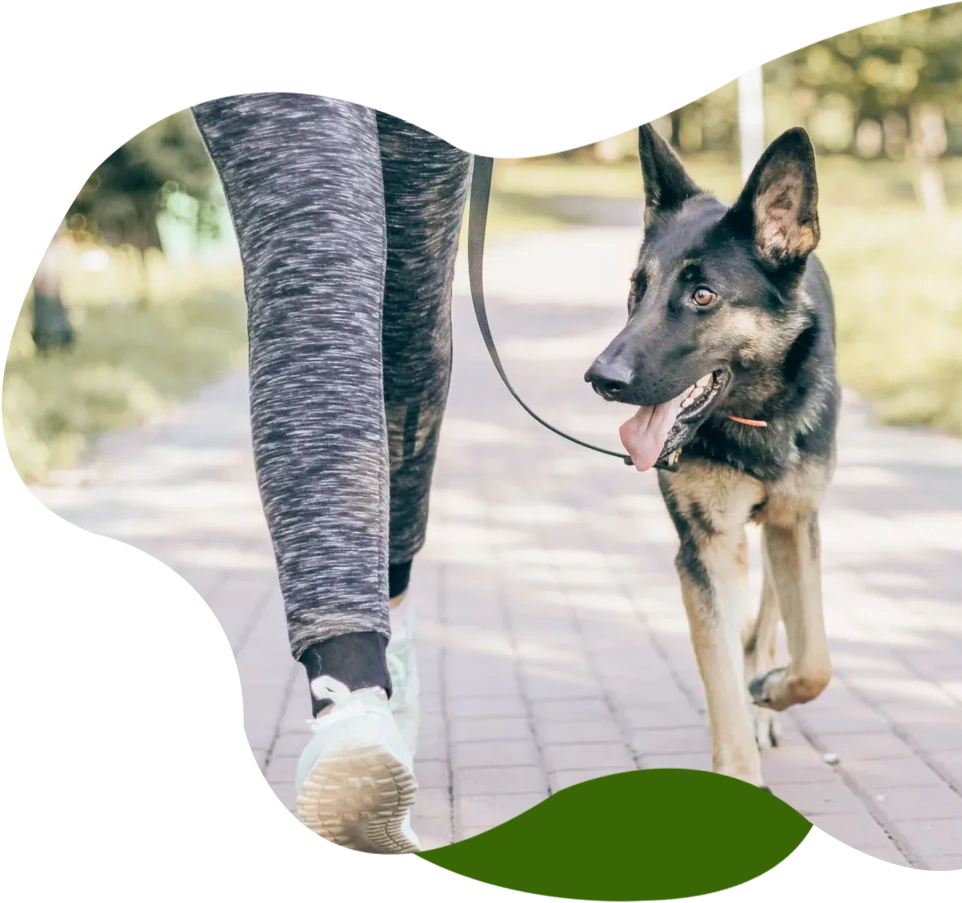 A person walking with a dog on a leash.