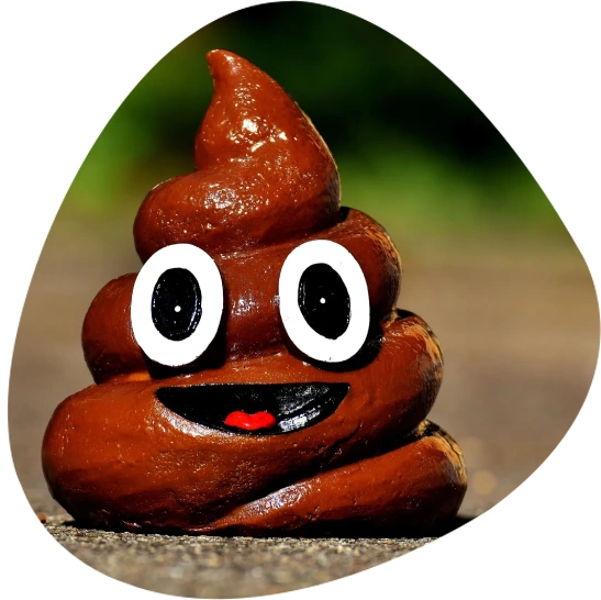 A close up of a chocolate poop with eyes