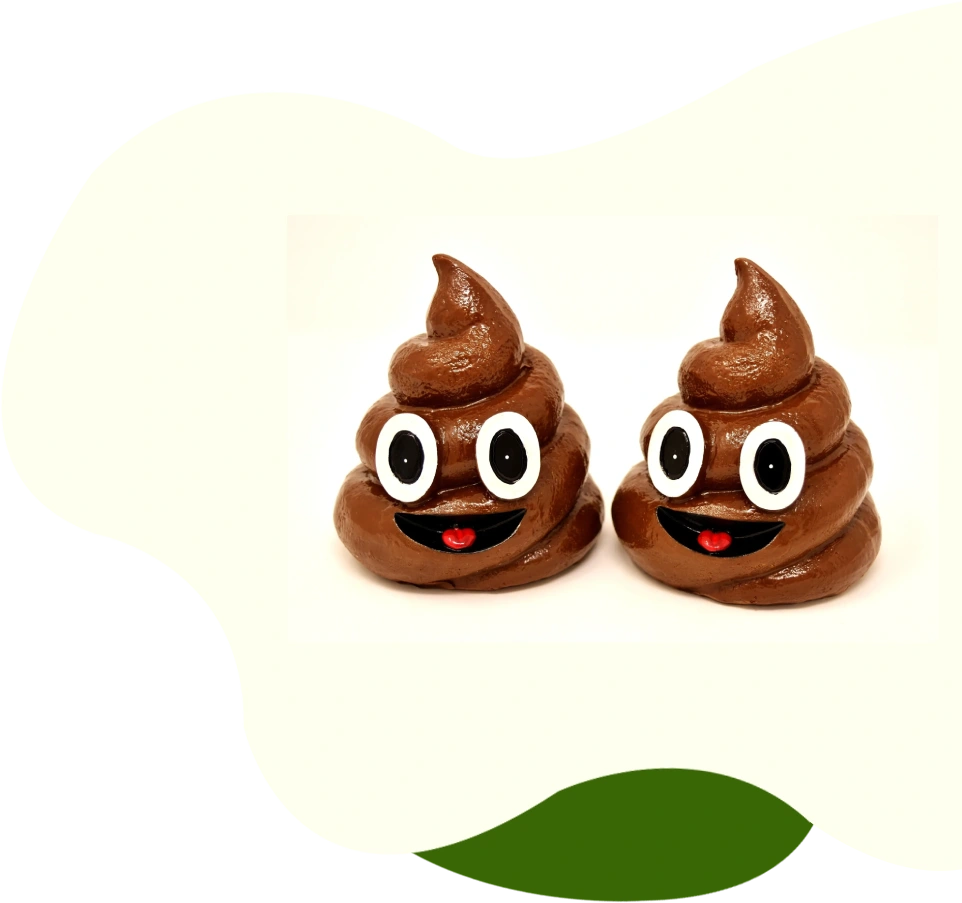 Two poop shaped chocolates with eyes and a smile.